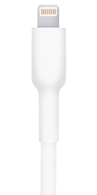 The Phone Plug